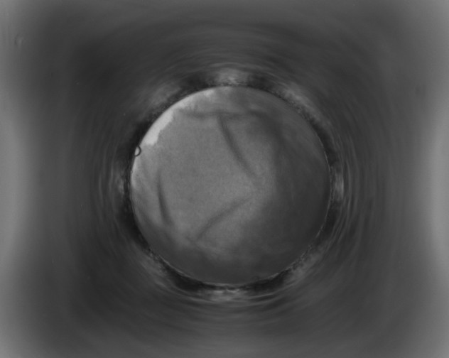 X0000083560363200703021725