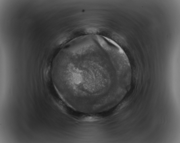 X0000083560364200703021725