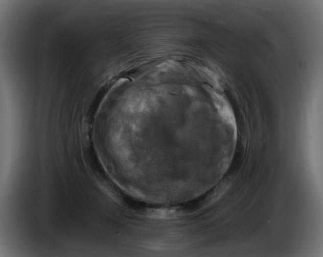 X0000083560366200703021725