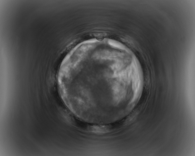 X0000083560367200703021725