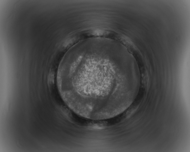 X0000083560368200703021725