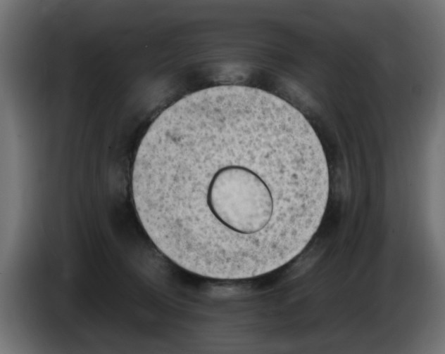 X0000083560370200703021725