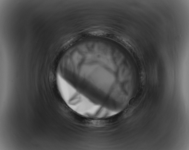 X0000083560371200703021725