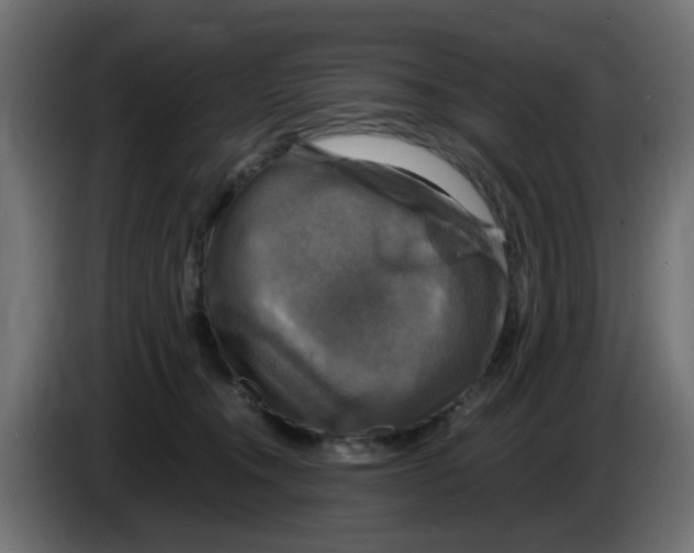 X0000083560372200703021725