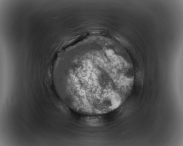 X0000083560373200703021725