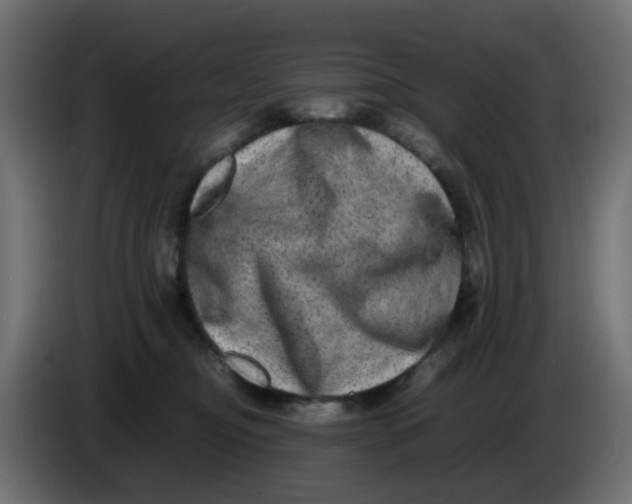 X0000083560374200703021725