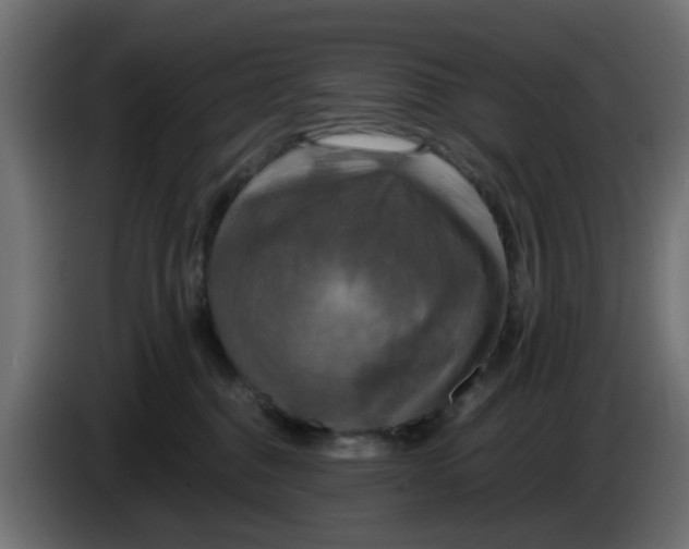 X0000083560376200703021725