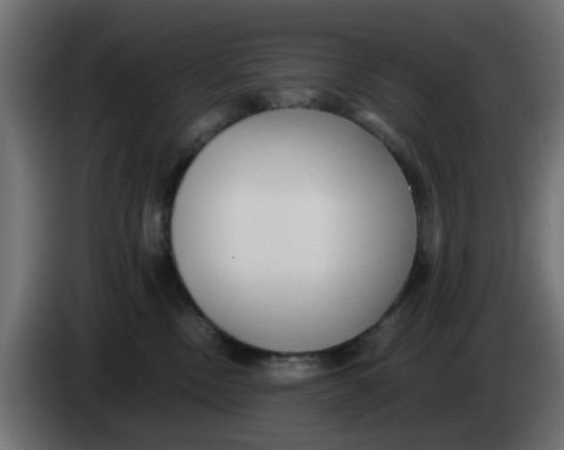 X0000083560378200703021726