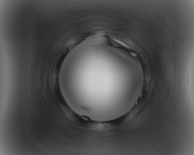 X0000083560379200703021726