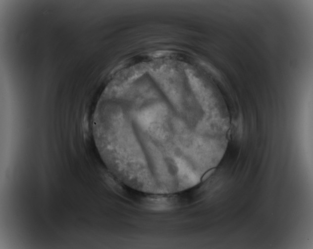 X0000083560381200703021726