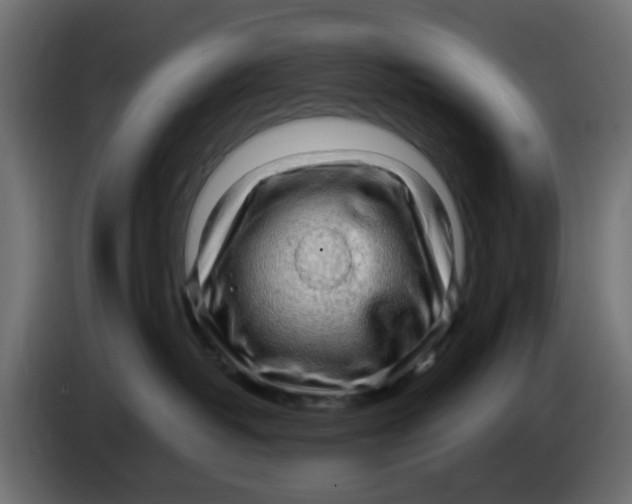 X0000083560382200703021726