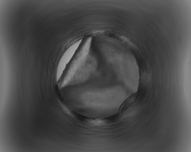 X0000083560383200703021726