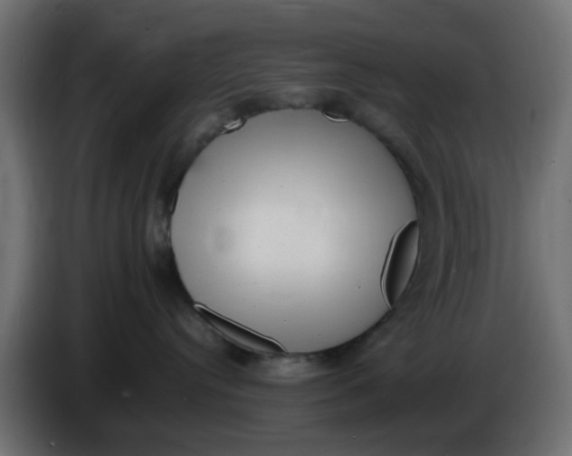 X0000083560384200703021726