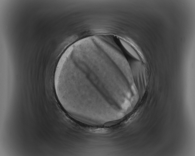 X0000083560385200703021725