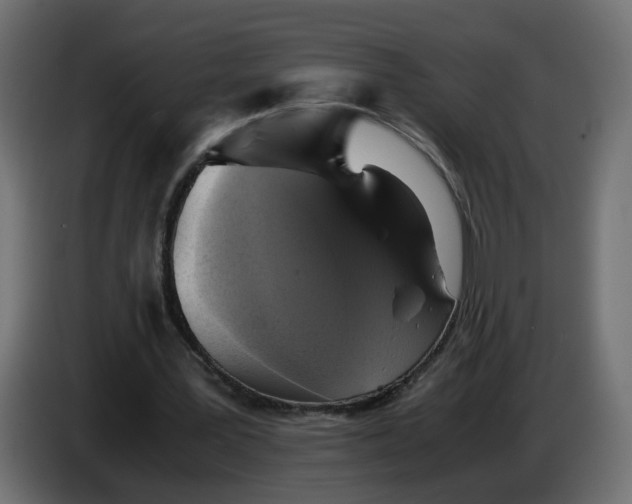 X0000083560387200703021725