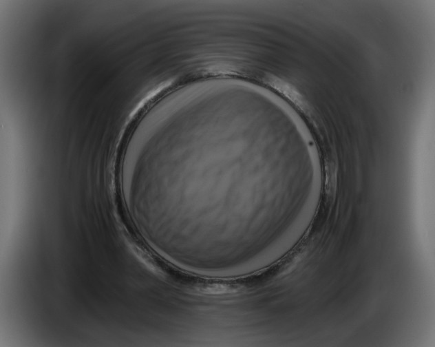 X0000083560390200703021725