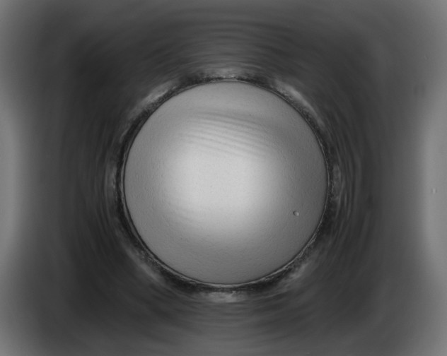 X0000083560394200703021725