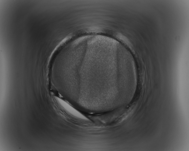 X0000083560395200703021724