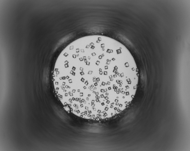 X0000083560396200703021724