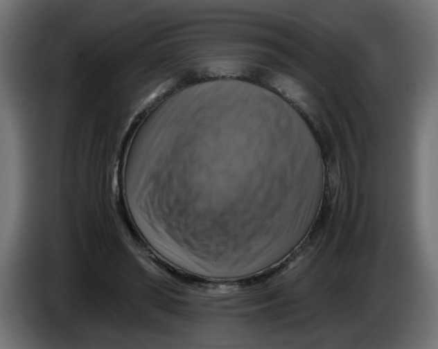 X0000083560398200703021724