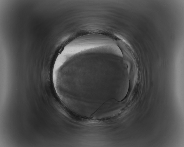 X0000083560399200703021724