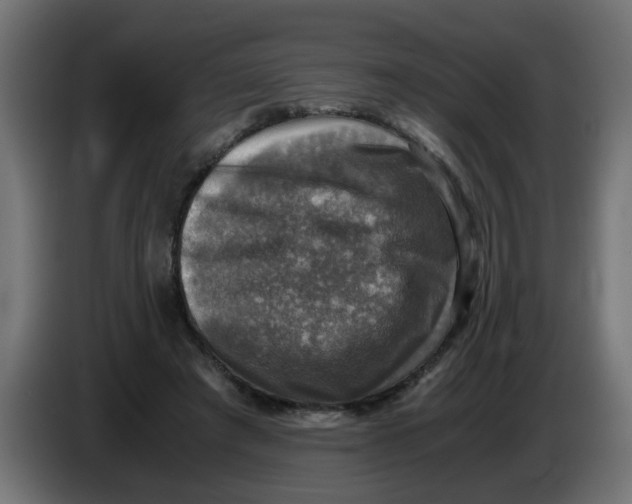 X0000083560401200703021724