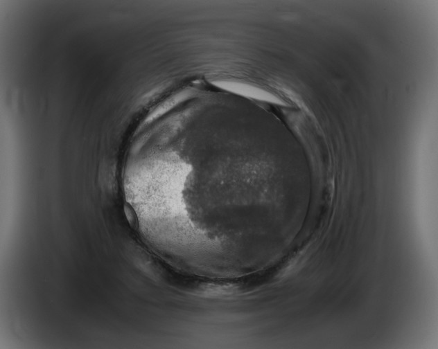 X0000083560403200703021724