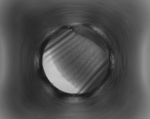 X0000083560404200703021724