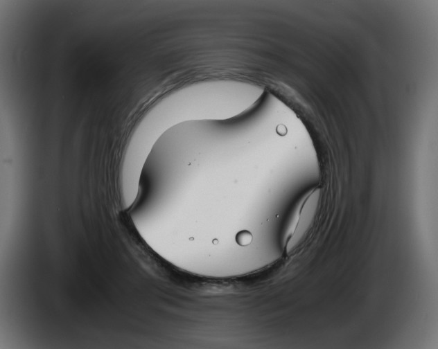 X0000083560405200703021724