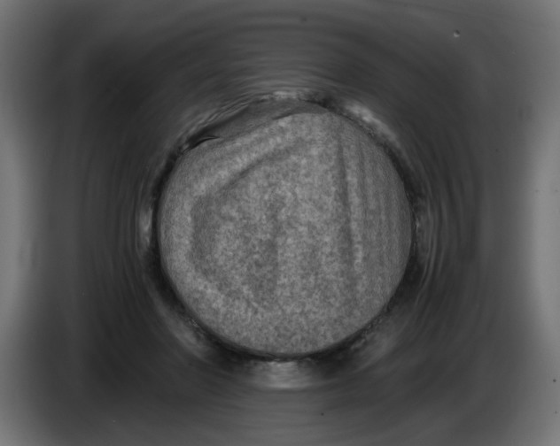 X0000083560406200703021724