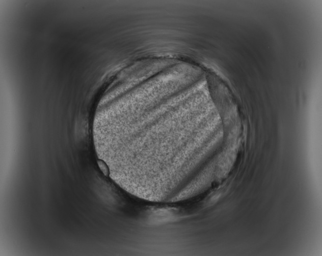 X0000083560407200703021724