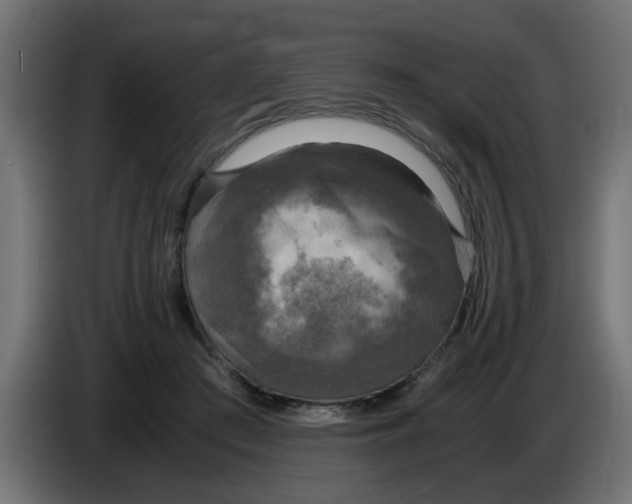 X0000083560409200703021724