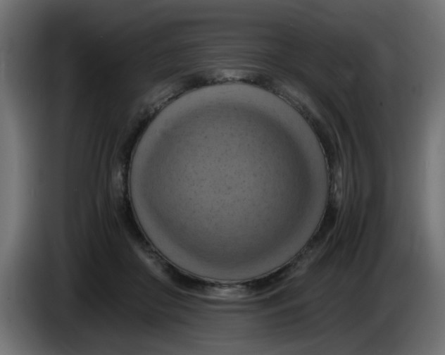 X0000083560410200703021724