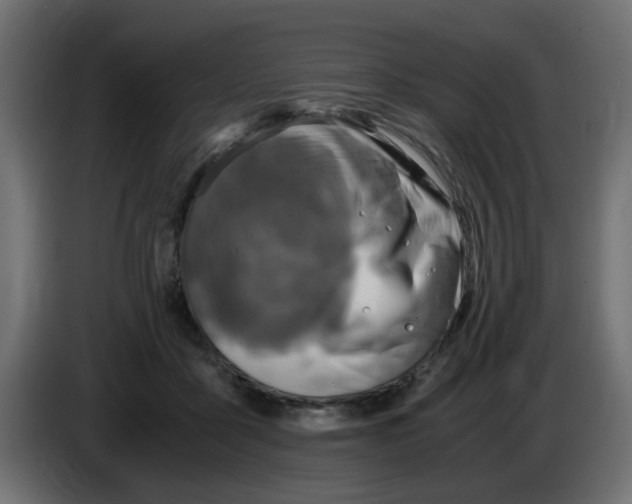 X0000083560411200703021724