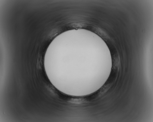 X0000083560414200703021724