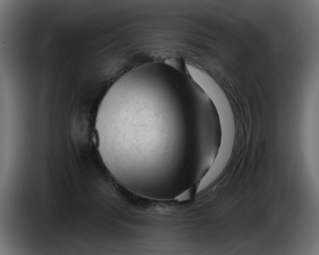 X0000083560416200703021724