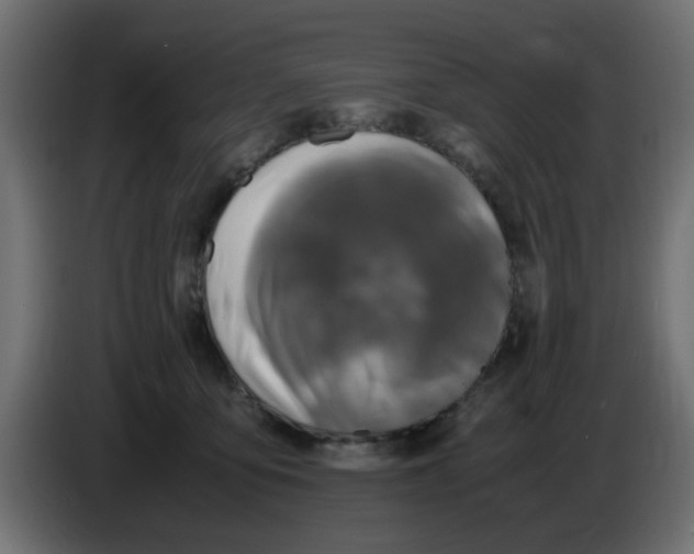 X0000083560419200703021724