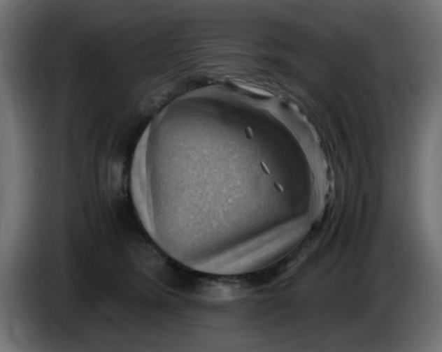 X0000083560420200703021724