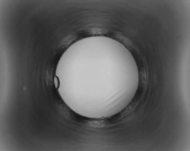 X0000083560422200703021724