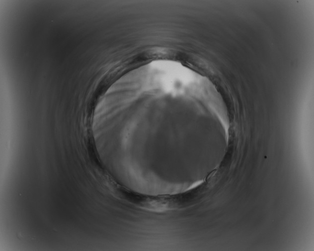 X0000083560423200703021724