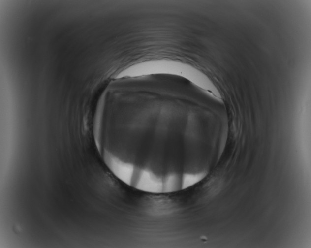 X0000083560424200703021724