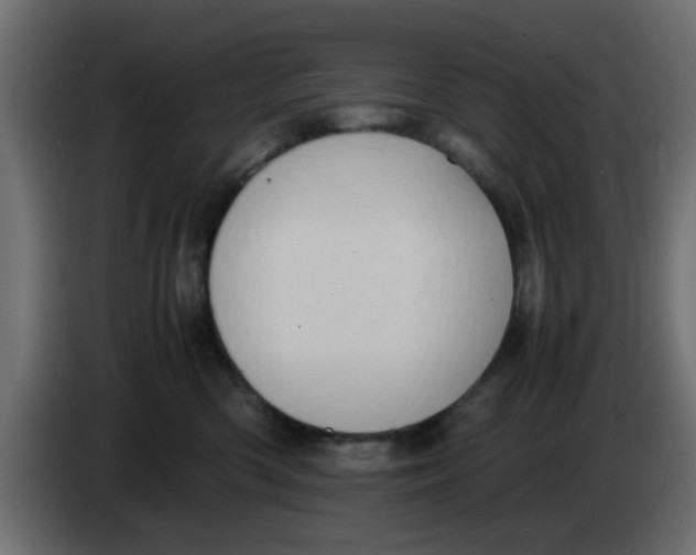 X0000083560426200703021724