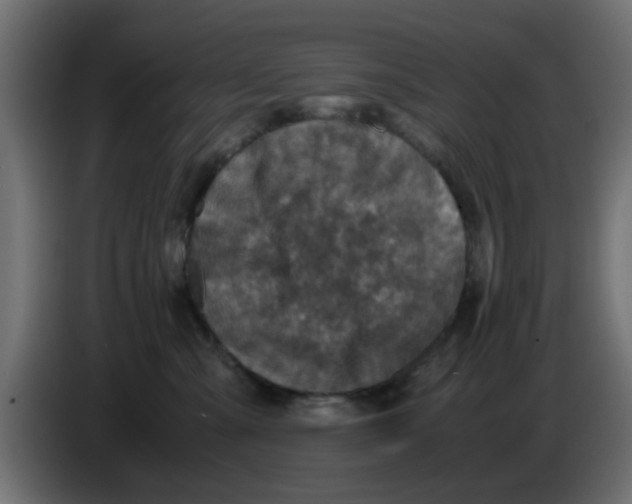 X0000083560427200703021724