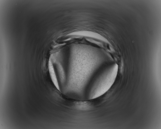 X0000083560428200703021724