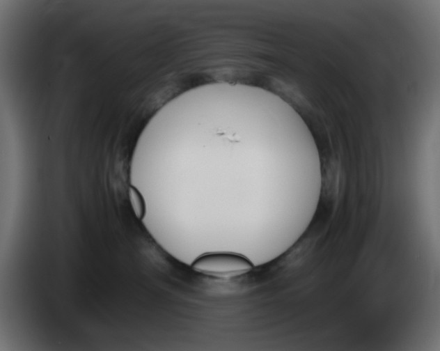 X0000083560430200703021724