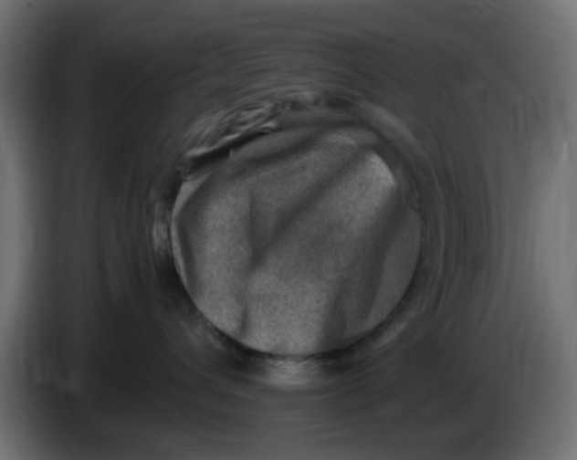 X0000083560432200703021724