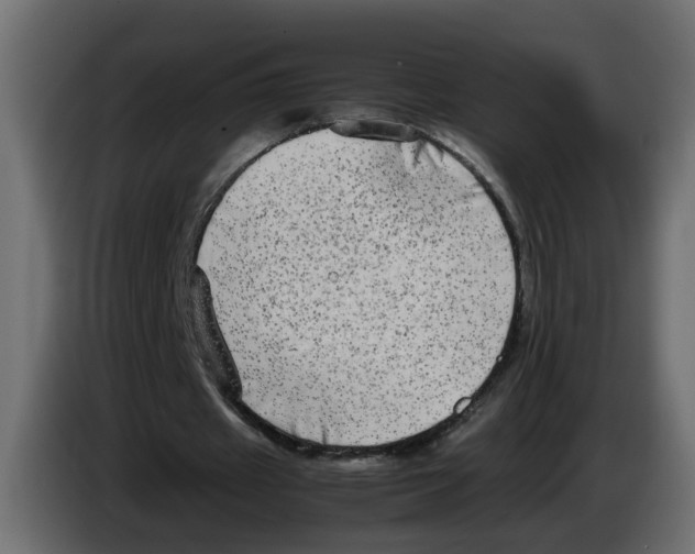 X0000083560433200703021723