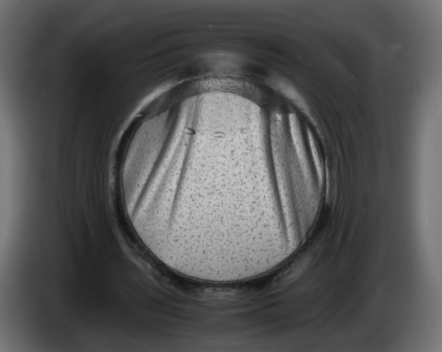 X0000083560435200703021723