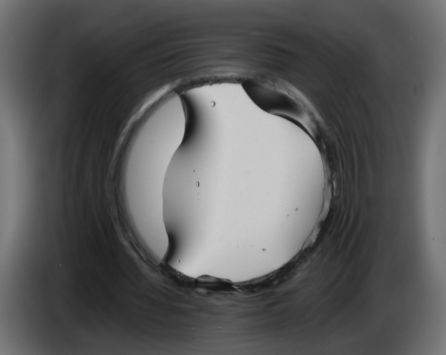 X0000083560436200703021723