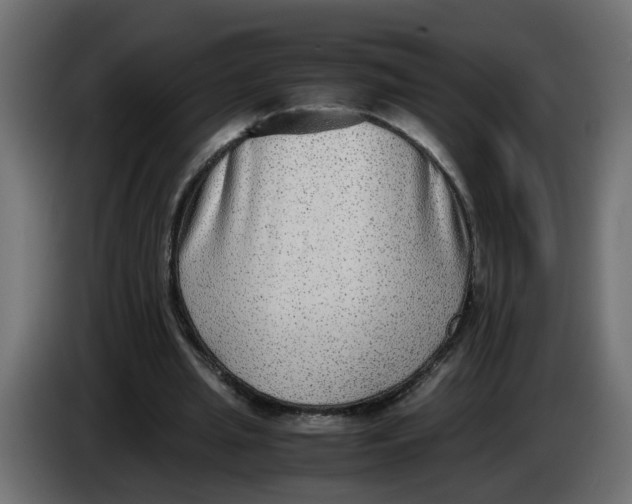 X0000083560437200703021723